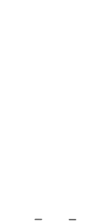 geist