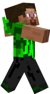steve
