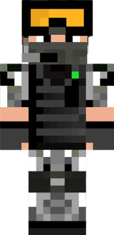 skin