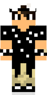 skin