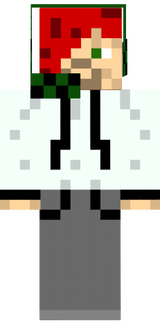 The_skater