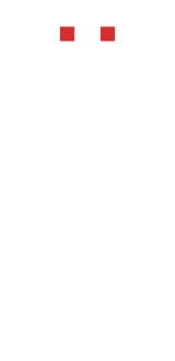 nevid