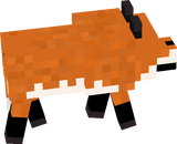 foxxx