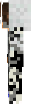 Mikecraft3109