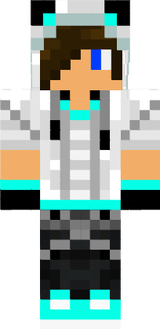 Skin Minecraft Panda