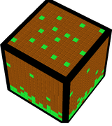 grass