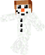 snow-bum