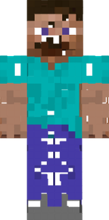 Vanishing Steve
