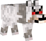 im angry stupid wolf XD