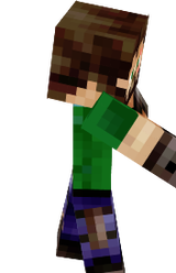 Forest Teowl Skin