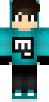 skin minecraft