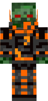 skin