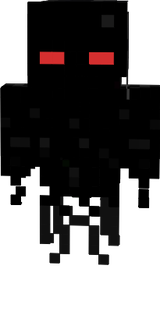 www