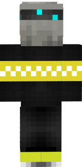 skin te