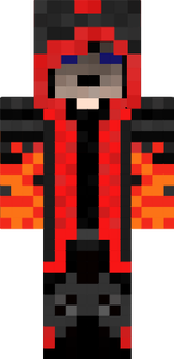 fly