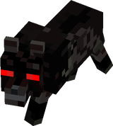 BB.wolf