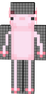 Ajolote