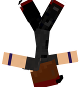 nettobr
