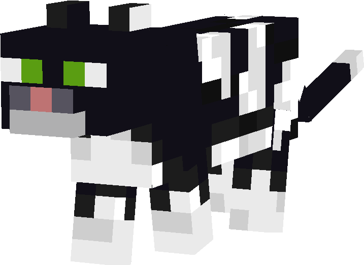 Preview of texture: Kity
