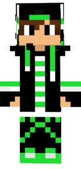 skin 2