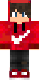 Skin()