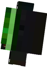 DAGI_BRODYGI
