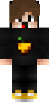 Vayron03