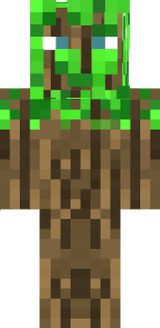 snogedu