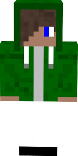 Hincam
