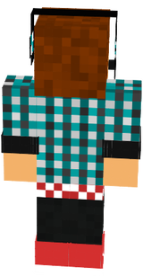 skin v1