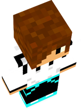 Skin 2
