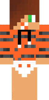 Baby boy overlay baby pig layer