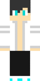 Skin 1
