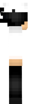 alphasteel21