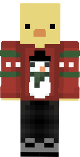 pinto com camisa de natal