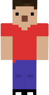 SKIN1