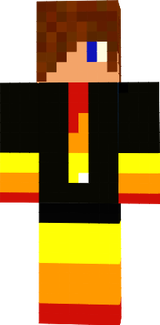 skin principal