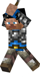 steve