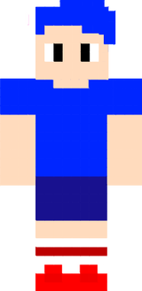 Gets Grounded Sonic