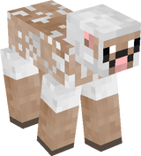 Pink sheep