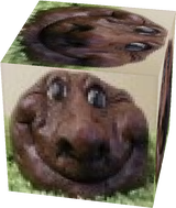 кака