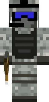 Soldier