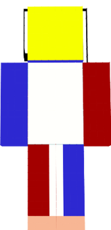 Francais8010