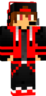 dsgws