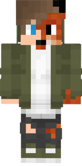 Zwixicek2