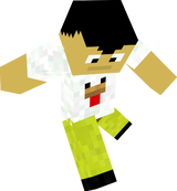 chicken skin