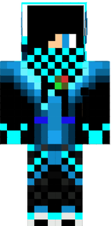 skin