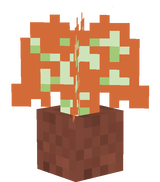 FallTreeSaplingPot