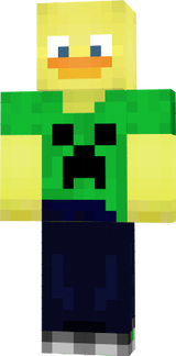 Duck
