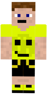 Skin pp